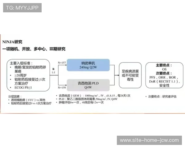 姚基金教师携手澳门篮球公益周共促跨地域教育与公益融合发展 姚基金教师携手澳门篮球公益周共促跨地域教育与公益融合发展